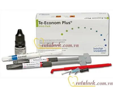 Bộ Composite Te-Econom Plus (1Keo, 2Com, 1Etch)