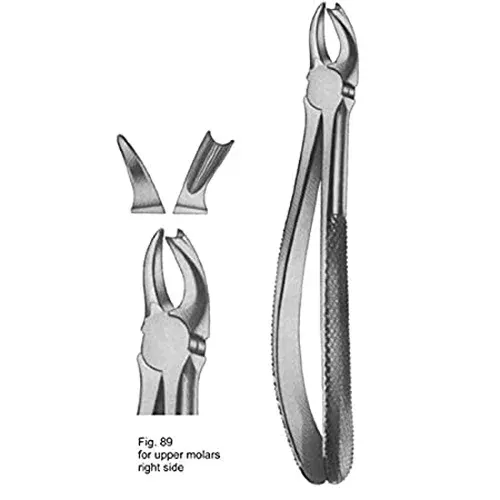 Ace Forcep Adult FX89 – Upper Molars Right