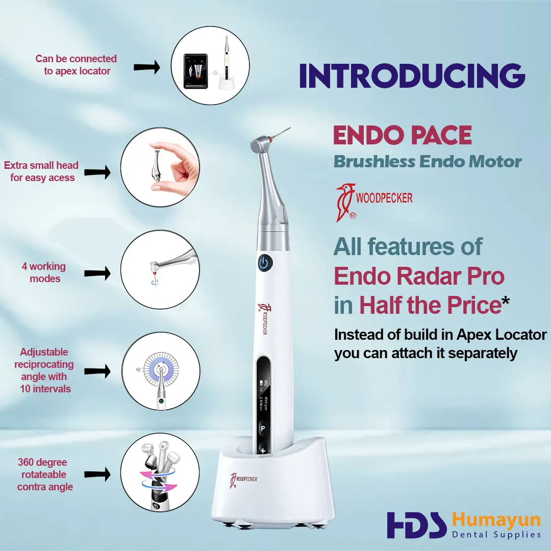 Woodpecker Endo Motor (Endo Pace)