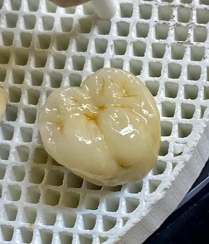 Al Shamil Dental Laboratory sohar