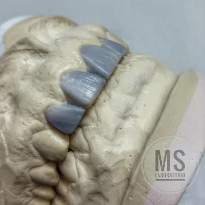 MS Laboratorio dental