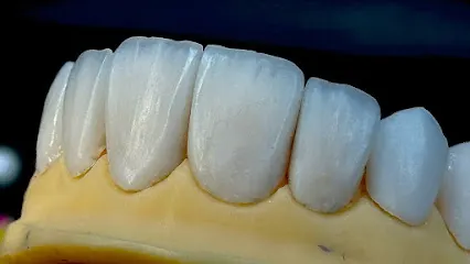 Violet Dental Lab L L C