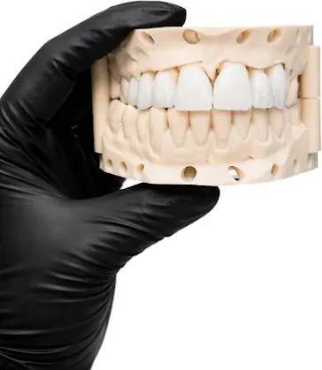 ZANN DENTAL LABORATORY INC