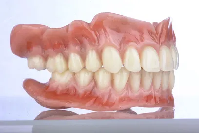 Dental Study / Diş Laboratuvarı