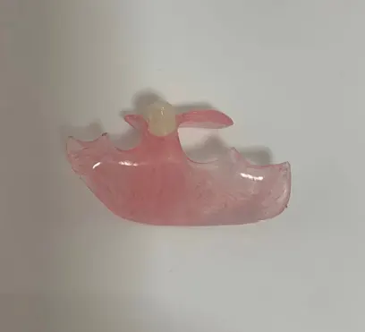 Laboratório de Prótese Dentária Jefferson Leite