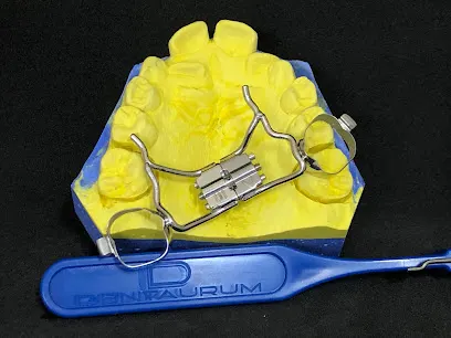 Blue Dental Laboratory