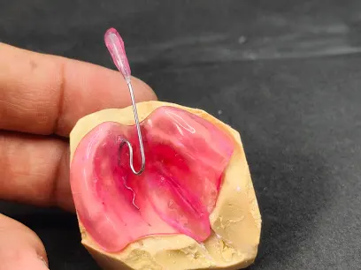 Pro.Tech. Dental Lab.