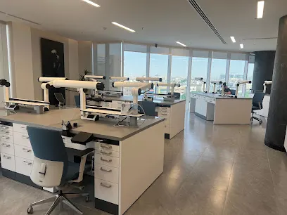 Aesthetic Vision Dental Lab