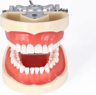 ARTISAN DENTAL LAB