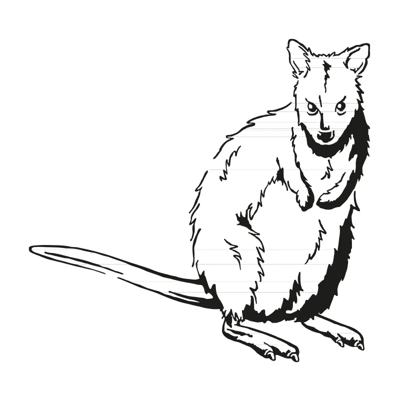WALLABY 1/8” LIGHT | 21/2 Oz | 70 Gms