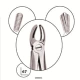 Upper Left Molar Forceps #18 - Bibodent | Dental Supplies & Equipment