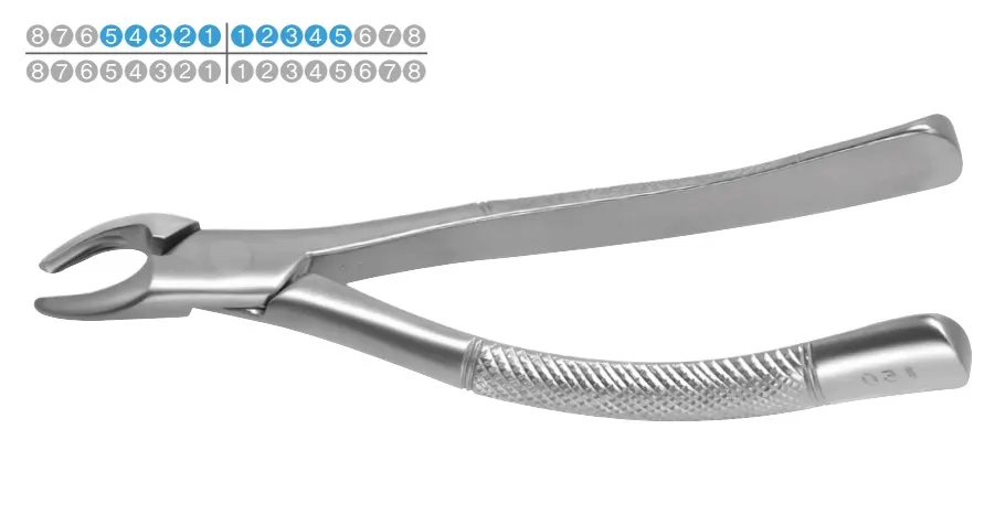 Extraction Forceps-Adult FX150, Osung