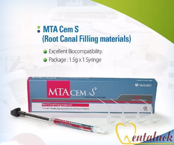 MTA CEM S trám bít ống tủy