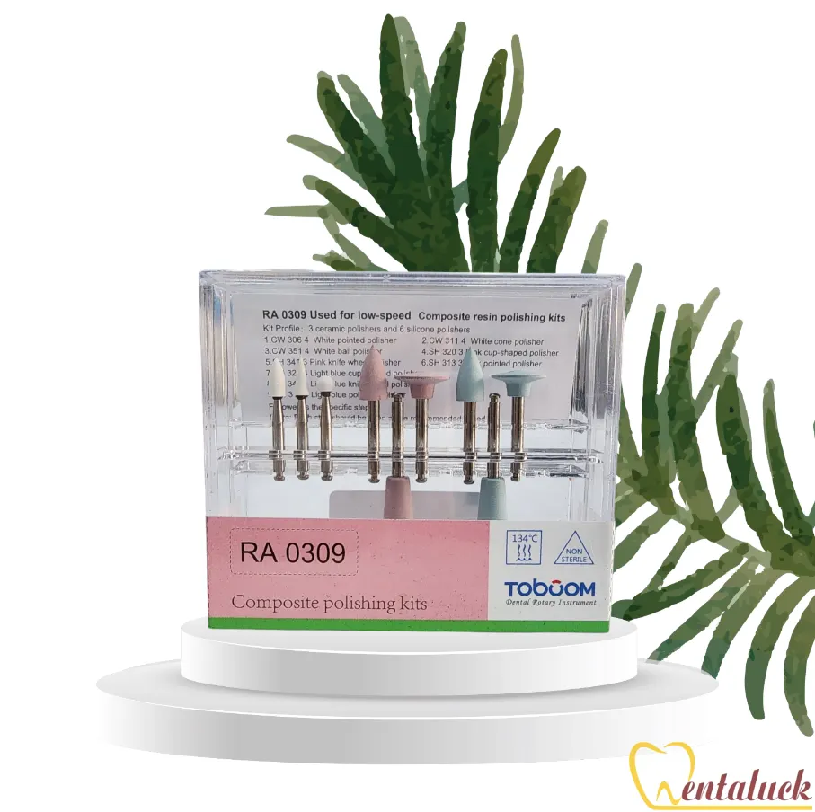 Bộ kit đánh bóng Composite (9cây/bộ)