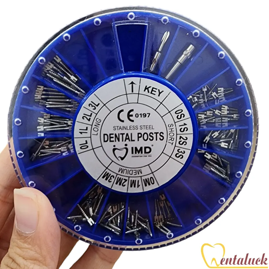 Chốt ống tủy bộ trắng (120c/Bộ)
