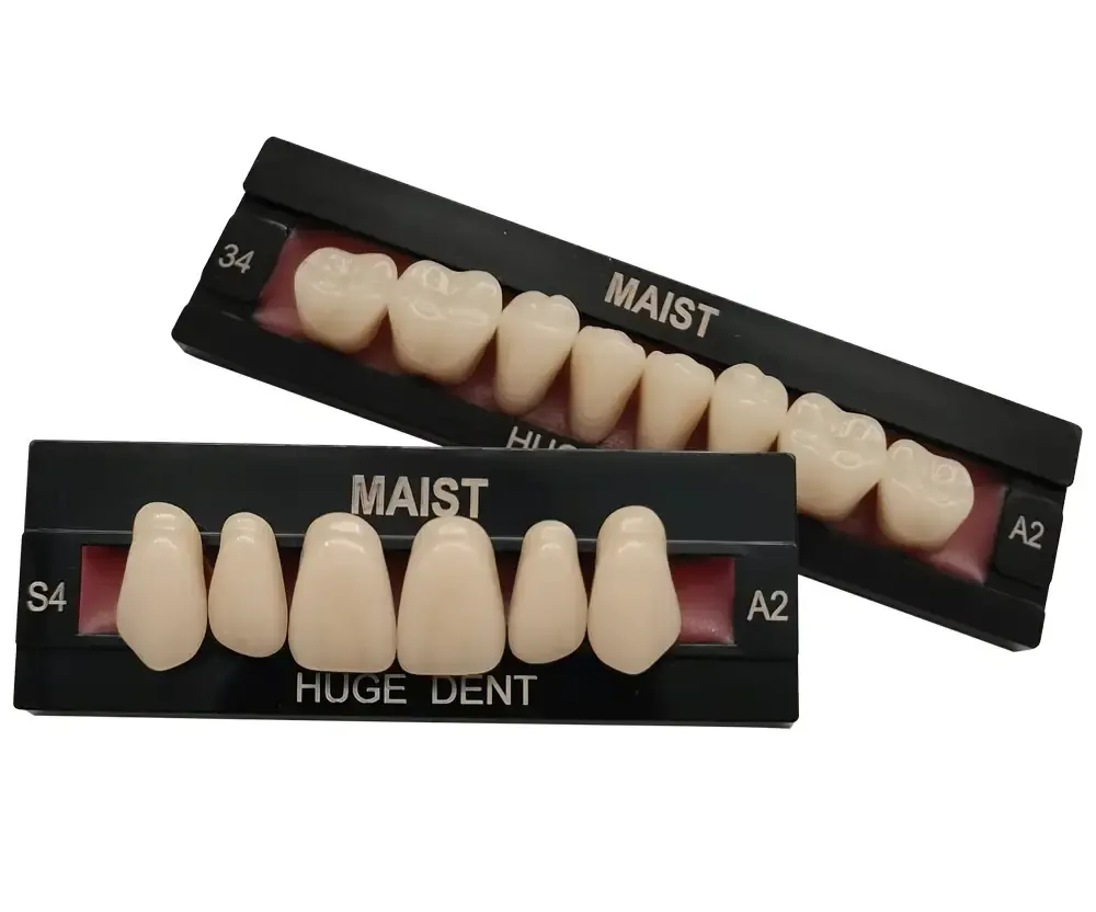HUGE MAIST Three-Layer Artificial Teeth - Firoozdental
