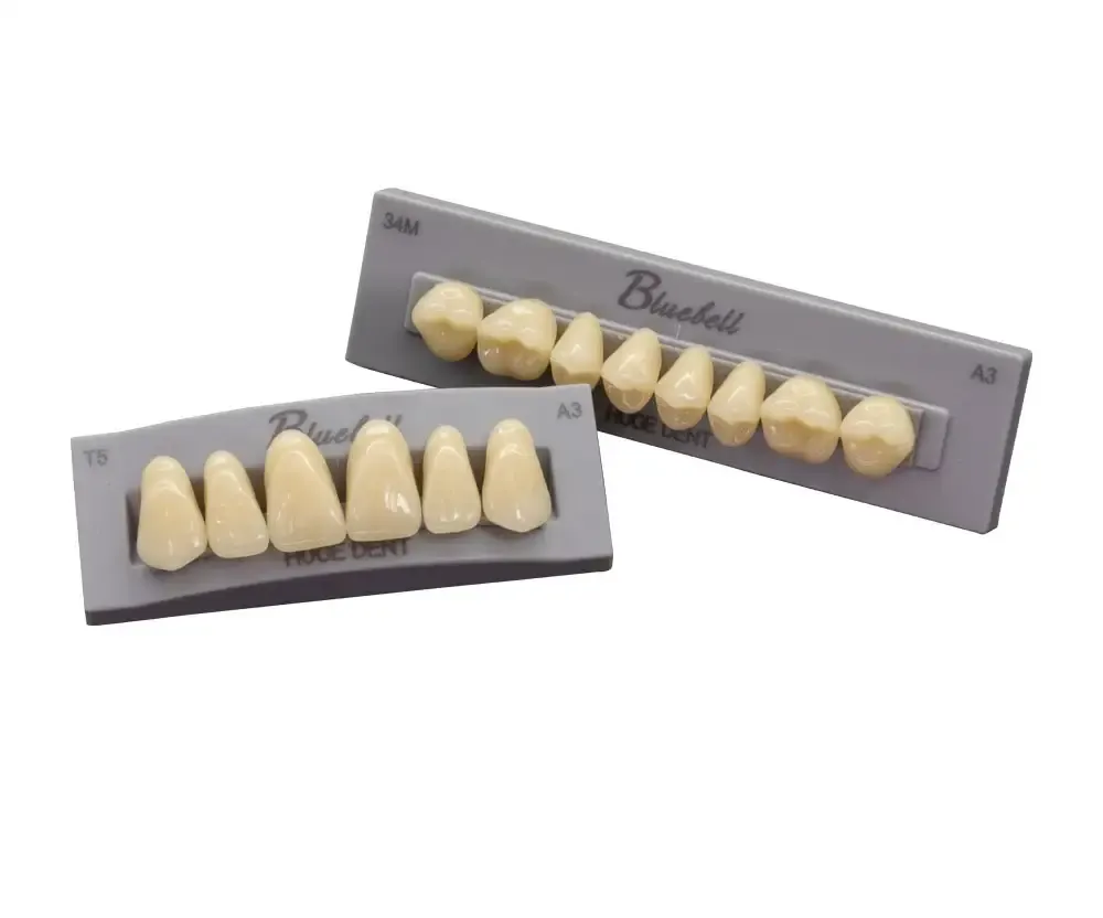 HUGE Bluebell Artificial Teeth - Firoozdental
