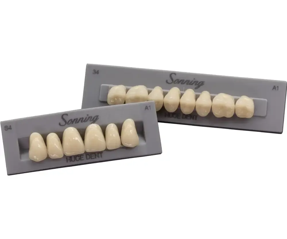 HUGE Sonning Artificial Teeth - Firoozdental
