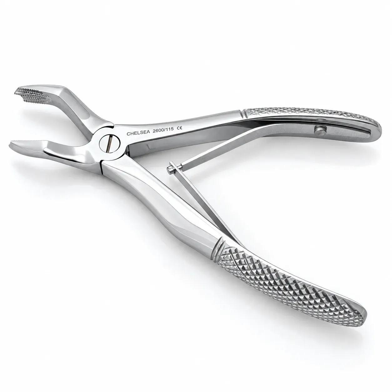 Upper Molars 2600-115