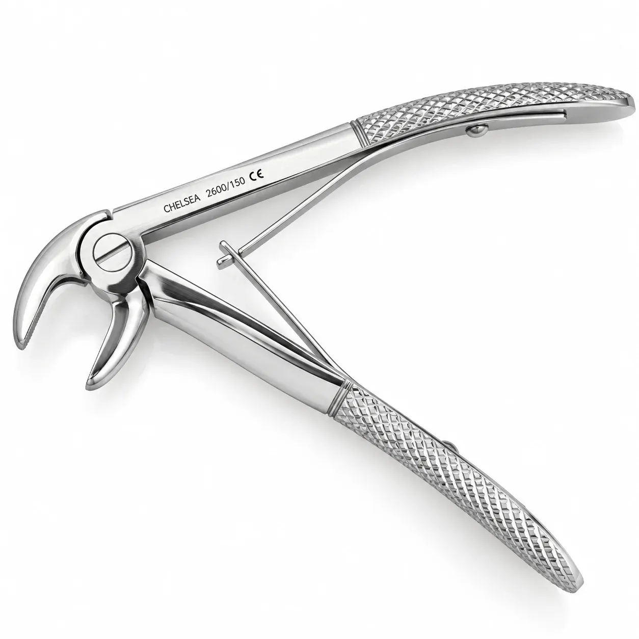 Upper Incisors and Canines 2600-150