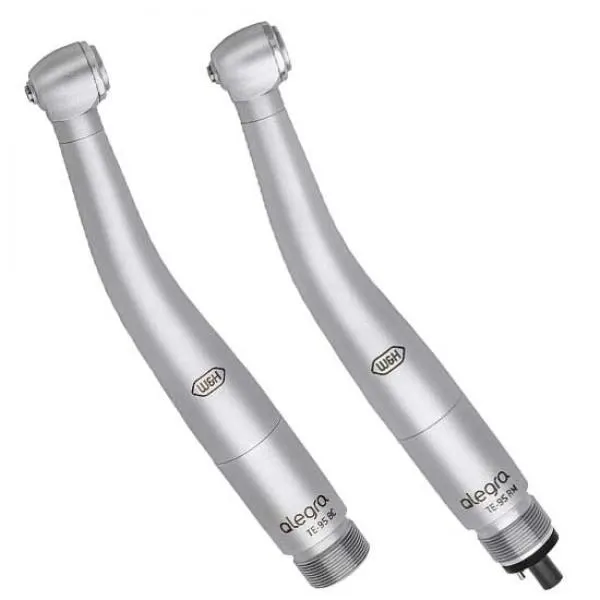 Turbine Alegra TE-95 « W&H »