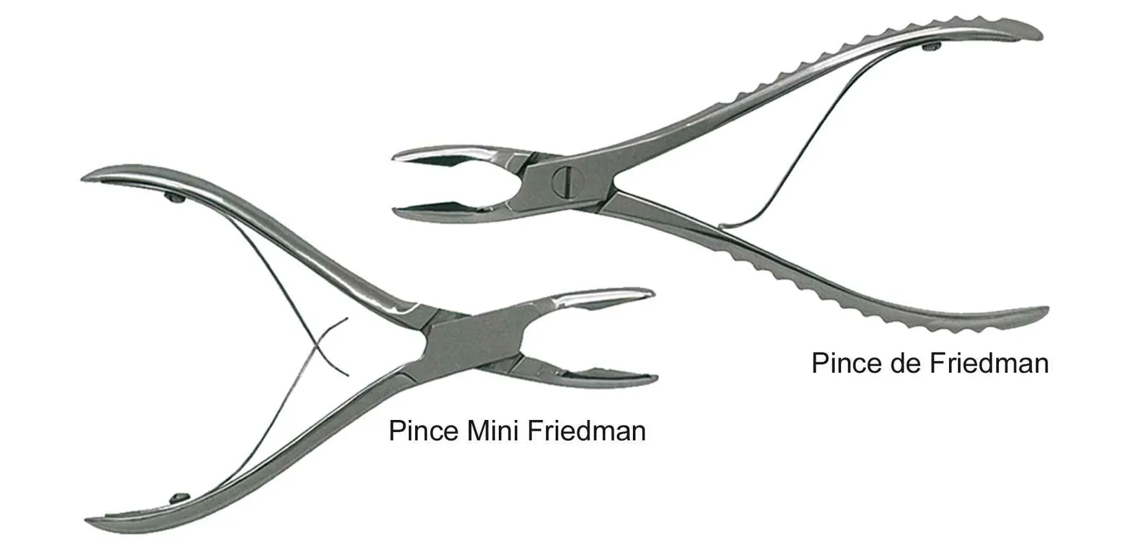 Pinces Gouges Friedman