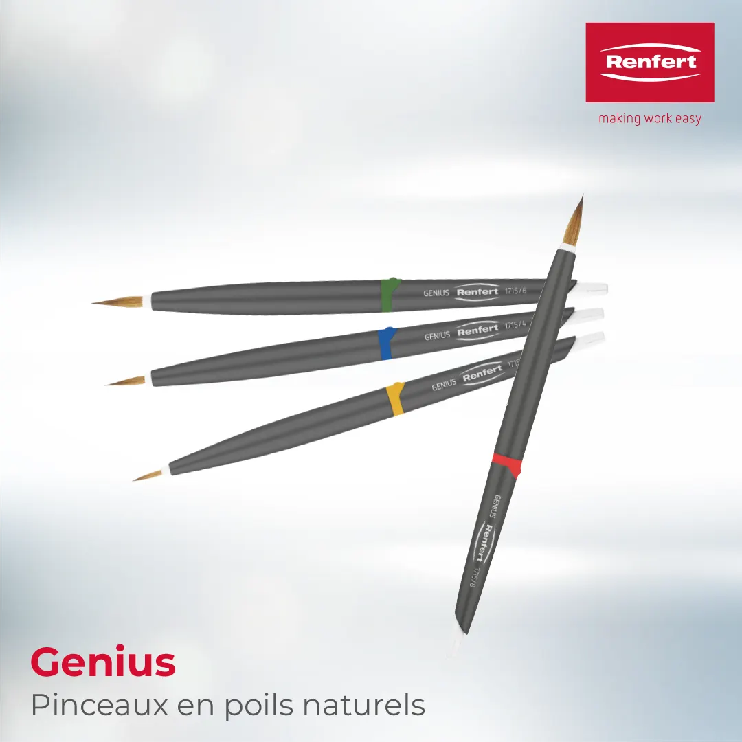Pinceau Genius Renfert