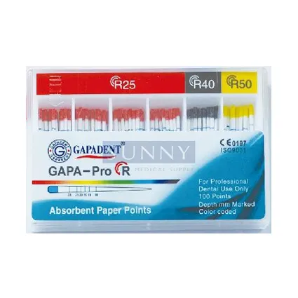Pro R Paper Points