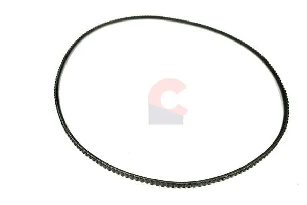 Grinder Belt