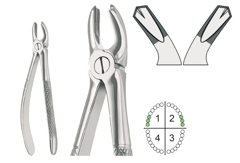 Extracting Forceps English Pattern Fig.18A