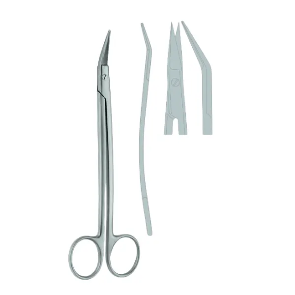 Gum Scissor, Dean, 17 cm
