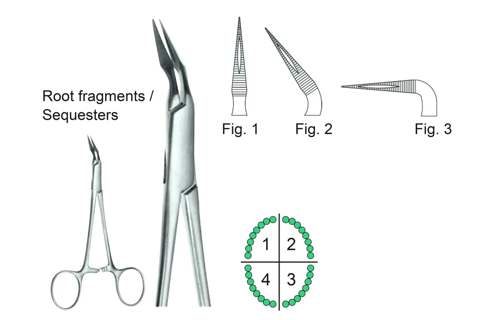 Root Splinter Forceps Stieglitz Curved Fig2