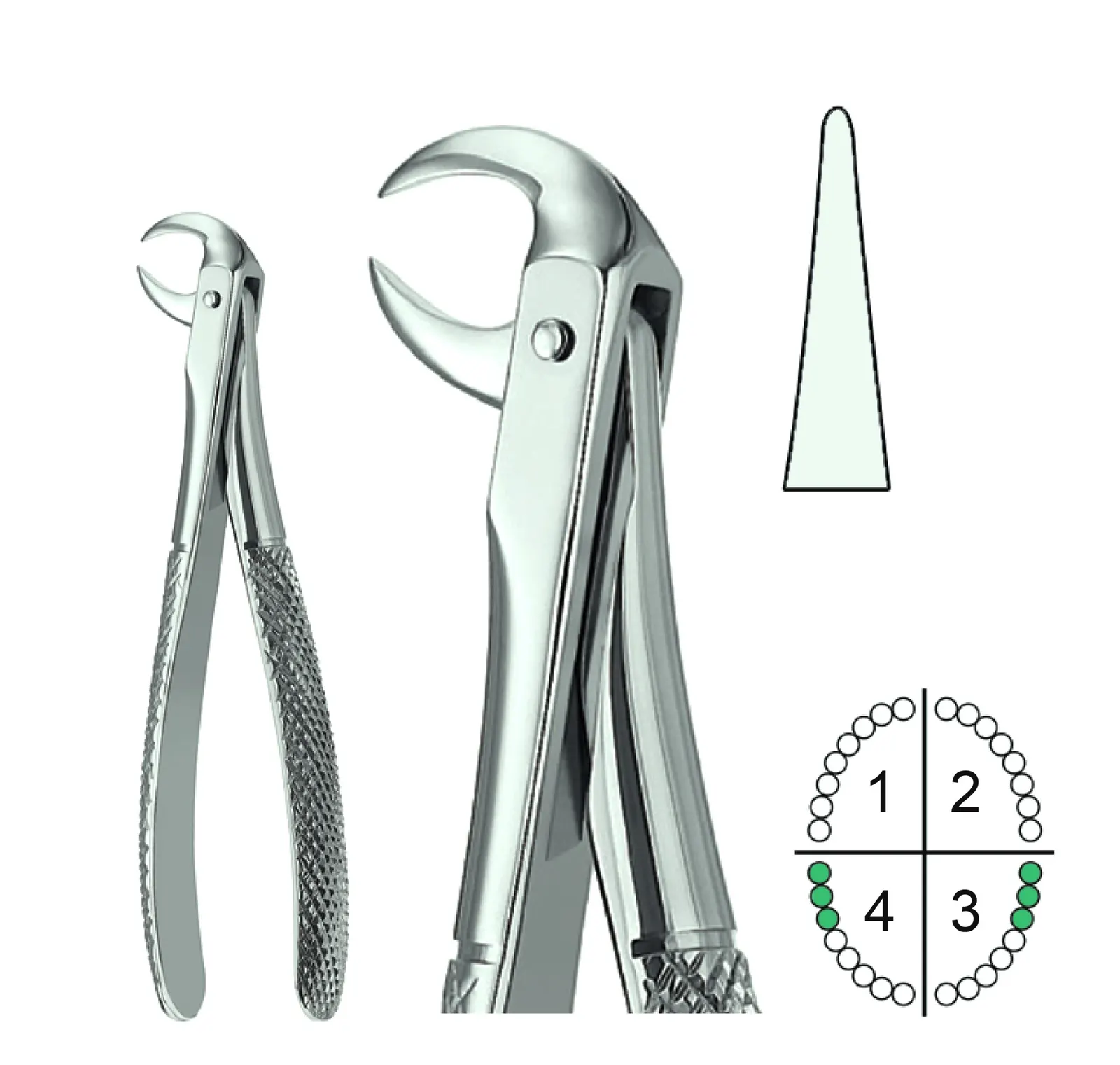 Extracting Forceps English Pattern Fig.86A