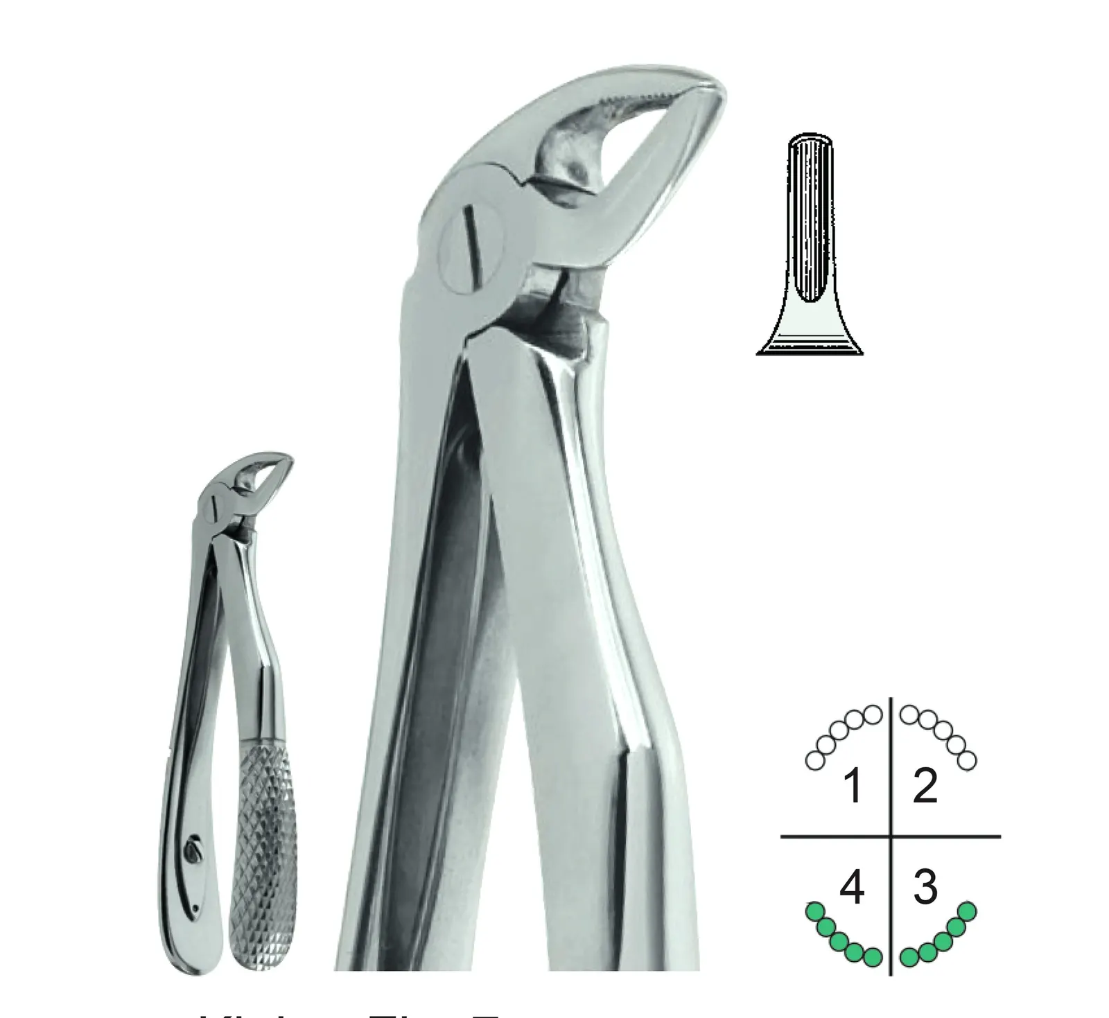 Extracting Forceps For Children English Pattern Klein Fig.7