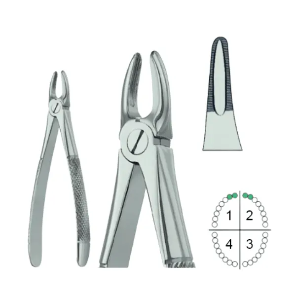 Extracting Forceps English Pattern Fig.29