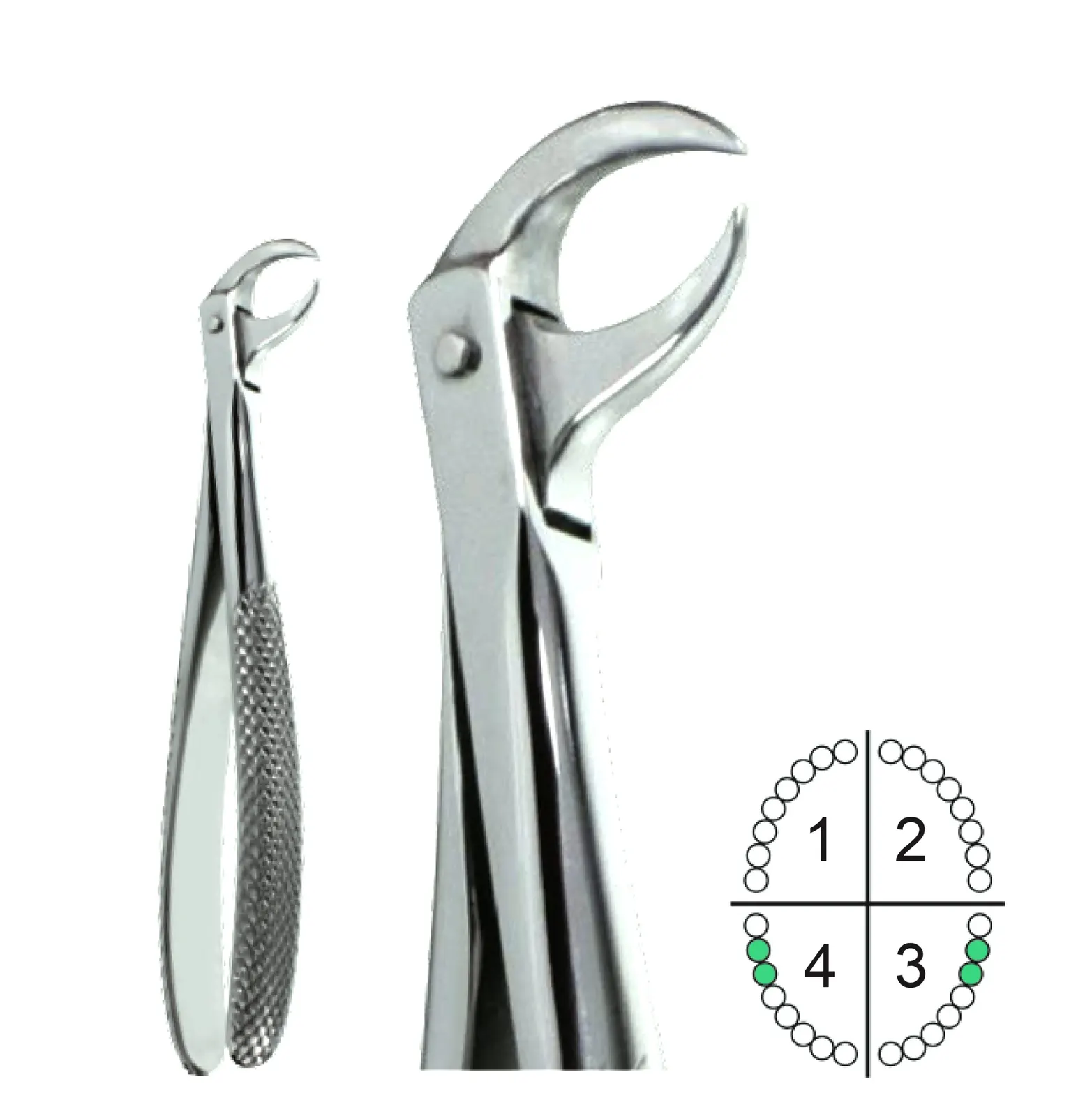Extracting Forceps English Pattern Fig.86S