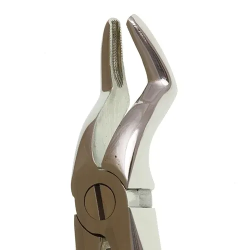 Ace Forcep Adult FX51A – Upper Roots