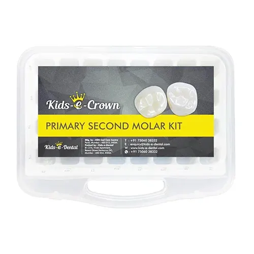 Kids E-Dental Zirconia Posterior Second Molar Crown Refills