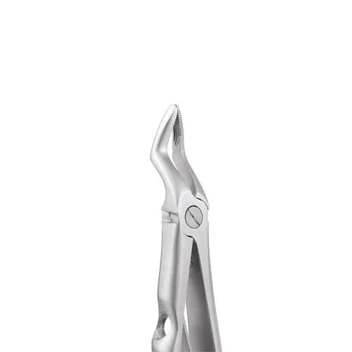 Ace Forcep Pedo FX7C – Upper Roots