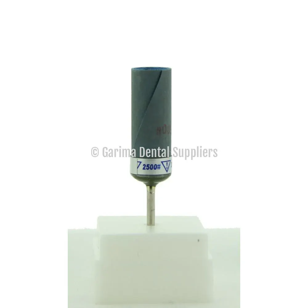 Dian Fong Abrasive Sandpaper with Mandrel – #2500