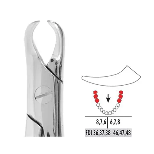 Ace Forcep Adult FX87 – Lower Molars