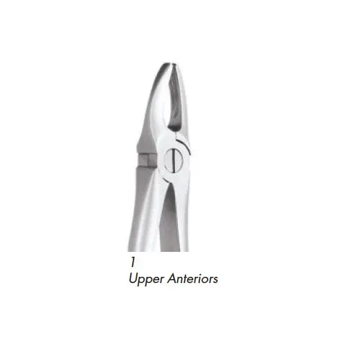 Ace Forcep Adult FX1 – Upper Anteriors