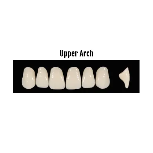 Hugedent Kaili Acrylic Teeth Set of Six (Upper Arch only)