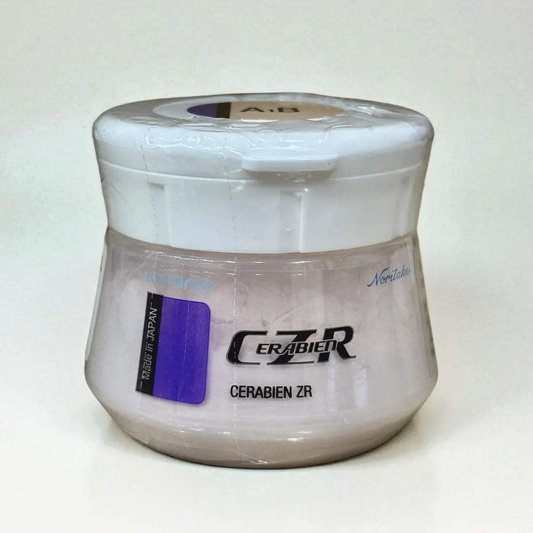 Noritake Porcelain CZR