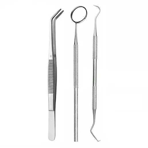Dental examination kit