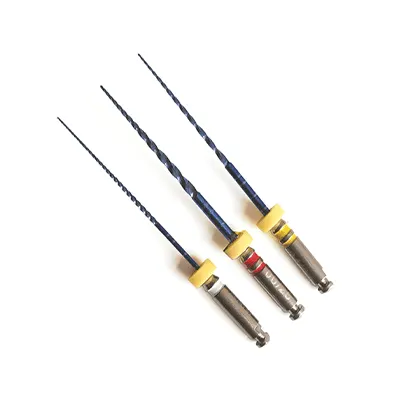Sani rotary file BS