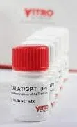 GPT Vitro 5*20 k