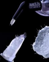 Ever X posterior composite capsule