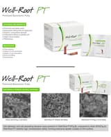 Well Root PT MTA Putty