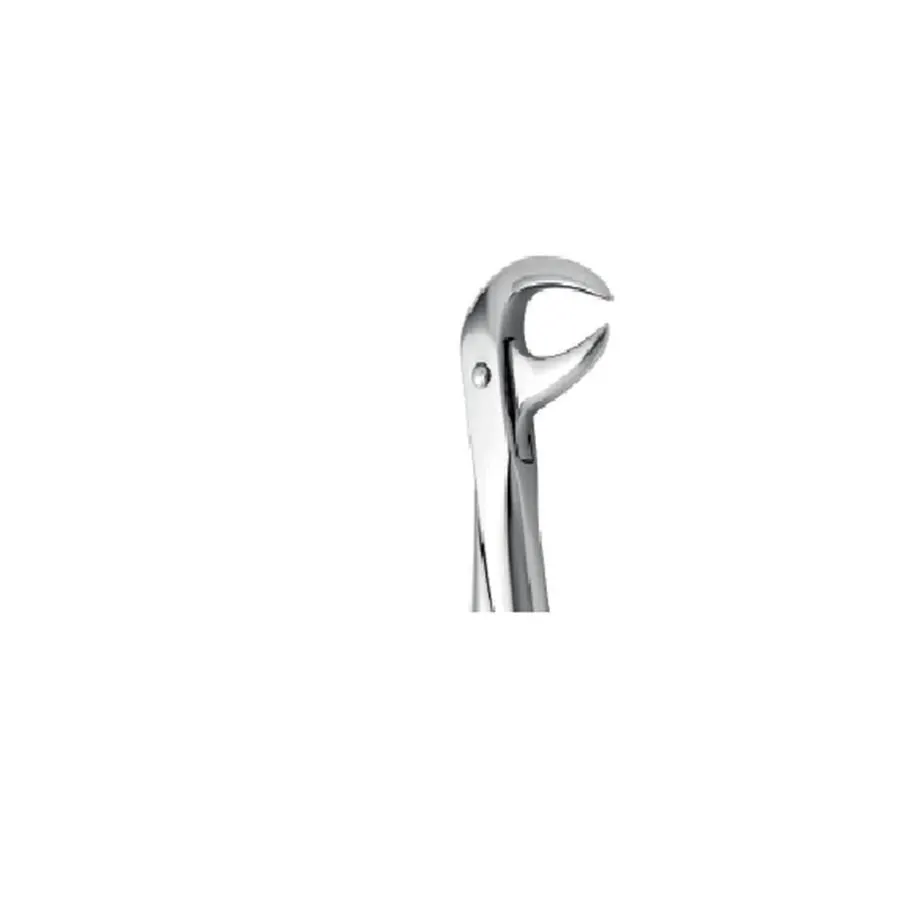 Cow Horn beak Tooth forceps, medesy